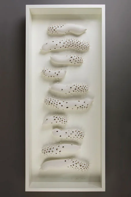 Proliferation (2018) H109cm x W46.5cm x D10.5cm