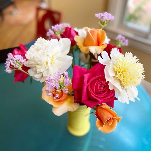 My #peony blooms are popping 🎉#roses too. Great company during #quarantine #coronavirus 🦠🌷🌹💐