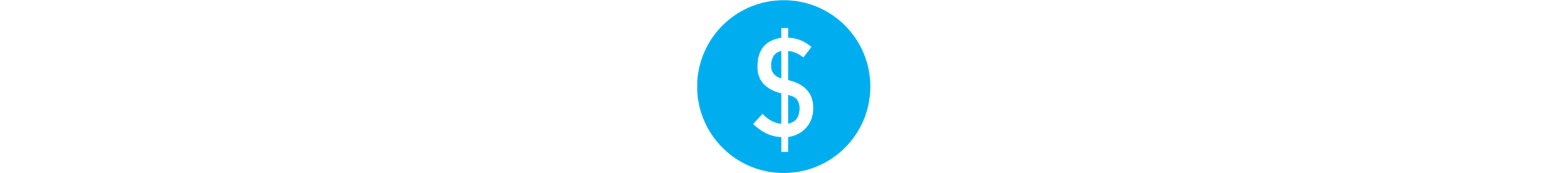 icon_dollar_wide.png
