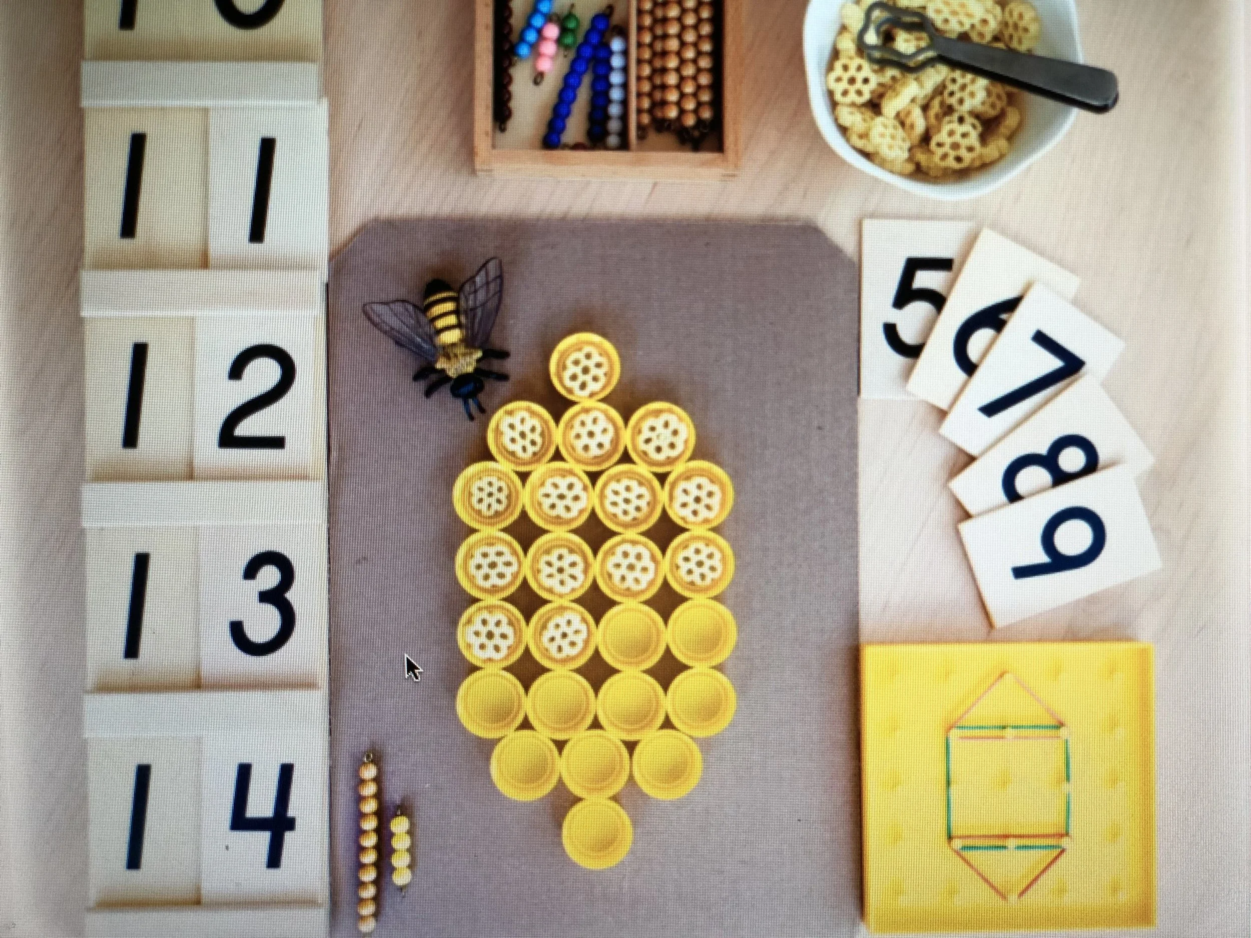 IMG_5969.jpg