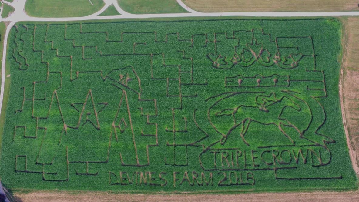 The 2018 Maze at Devine’s Corn Maze and Pumpkin Patch.