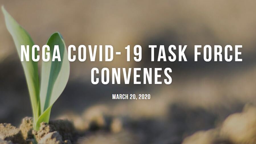 NCGA COVID-19 Task Force Convenes