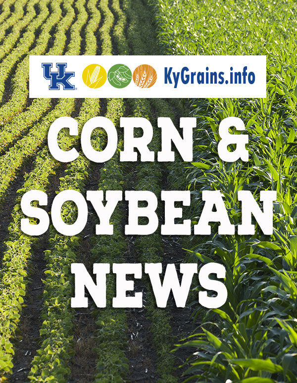 corn and soybean news.jpg