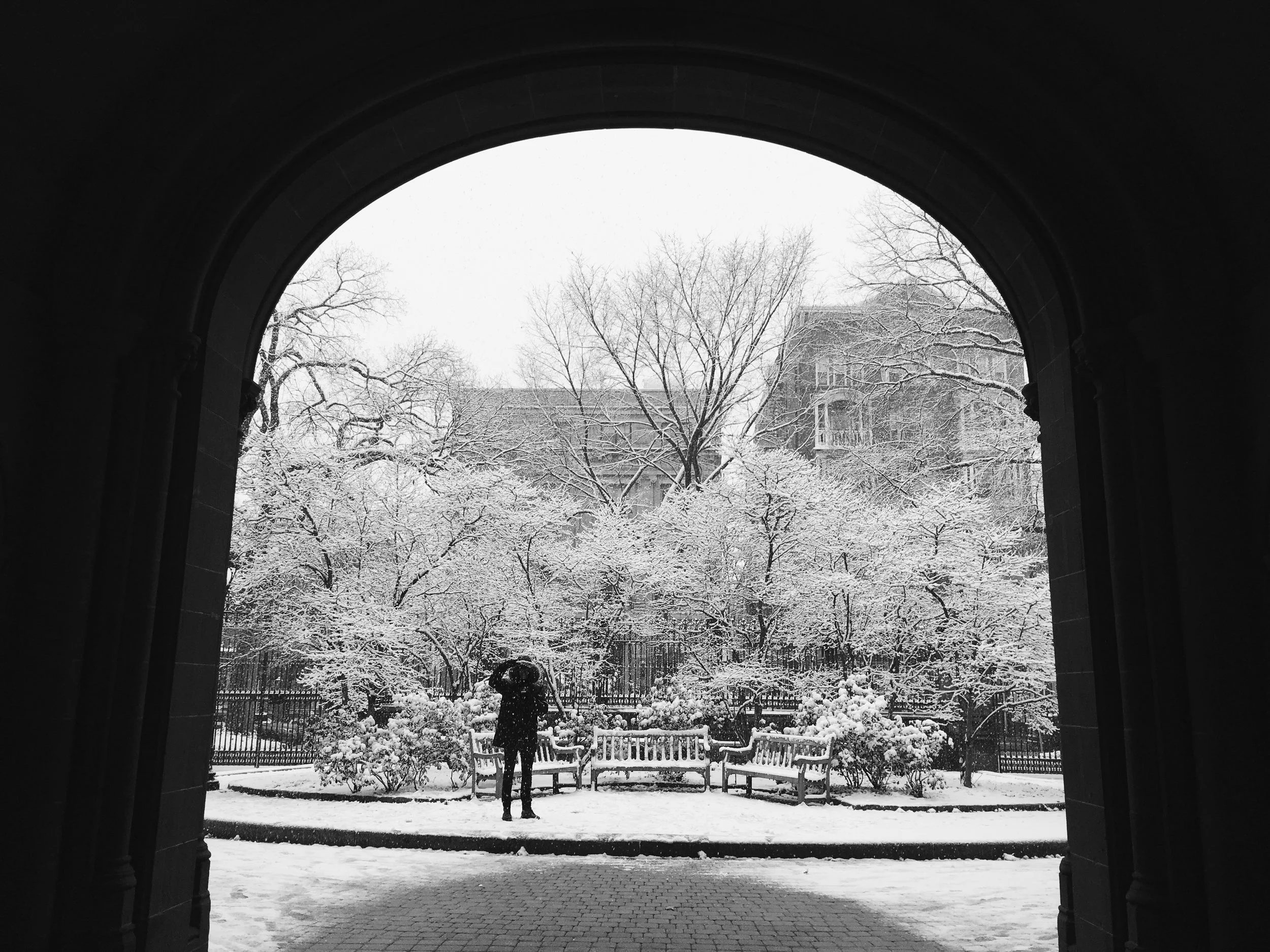 Winter Wandering