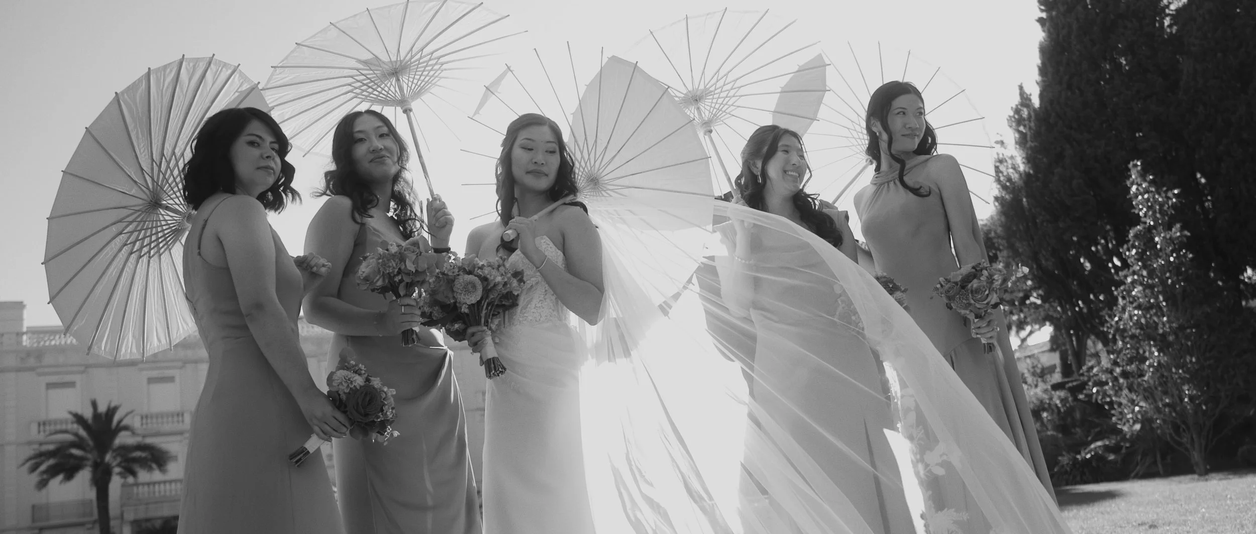 Still 2026-02-19 124509_3.1.2.jpg