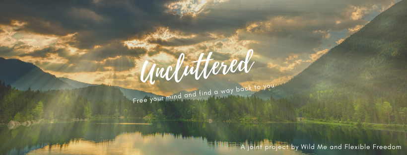 Uncluttered.png