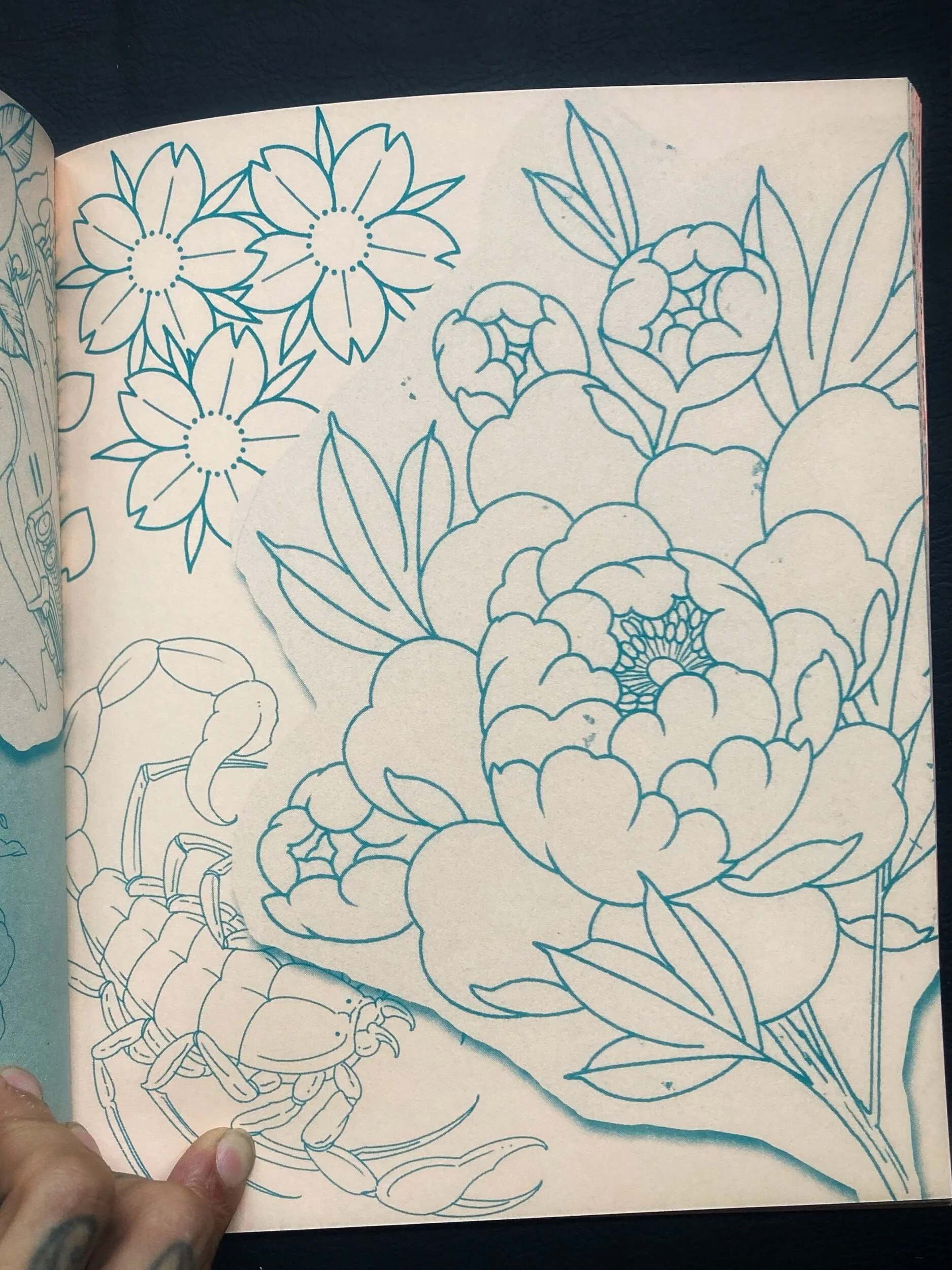 A4F2F9F2-3EC6-49A8-B6F6-45B60D13862F