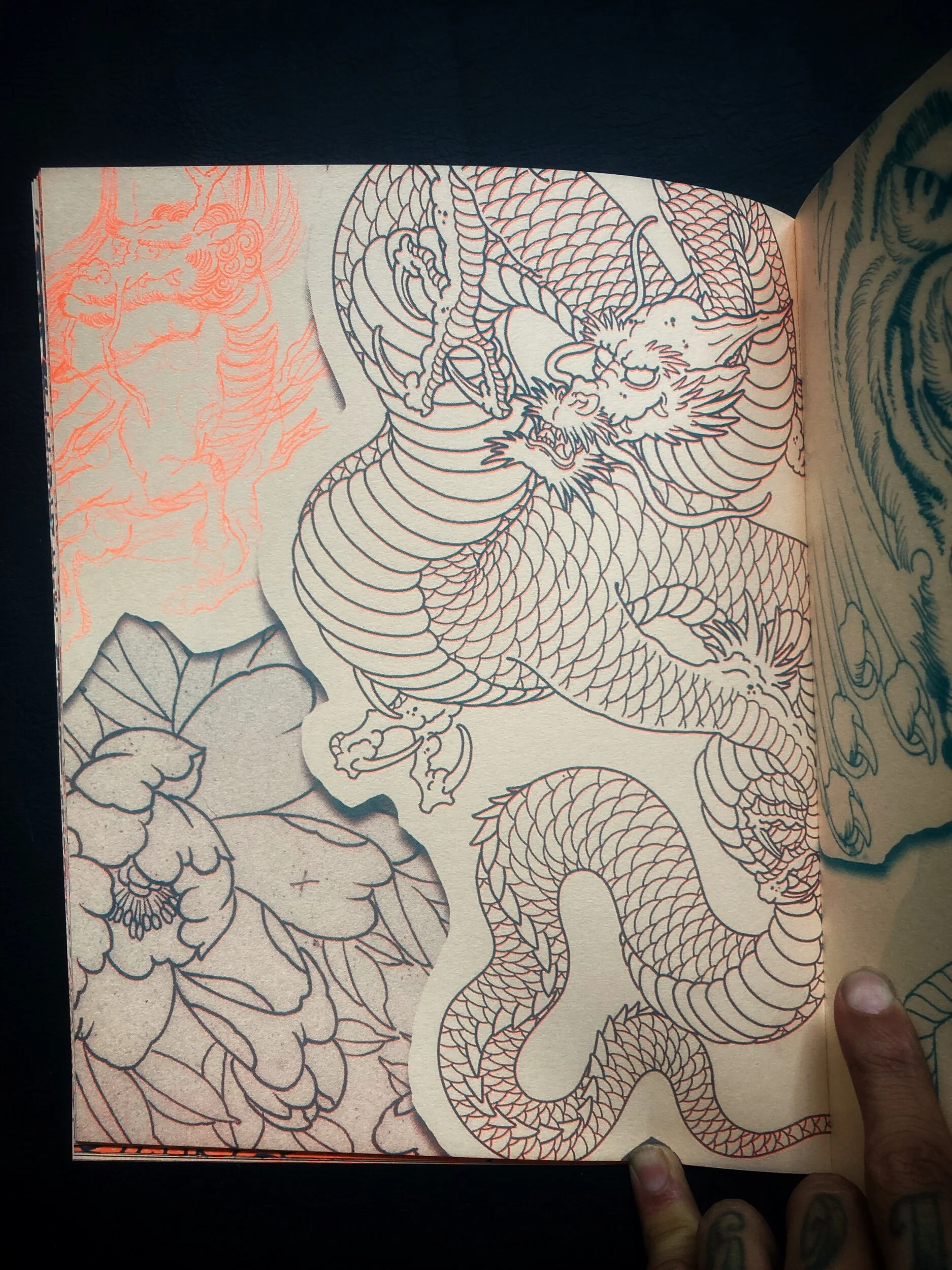 EBF3269E-942F-4D66-BB24-60E747028D2C