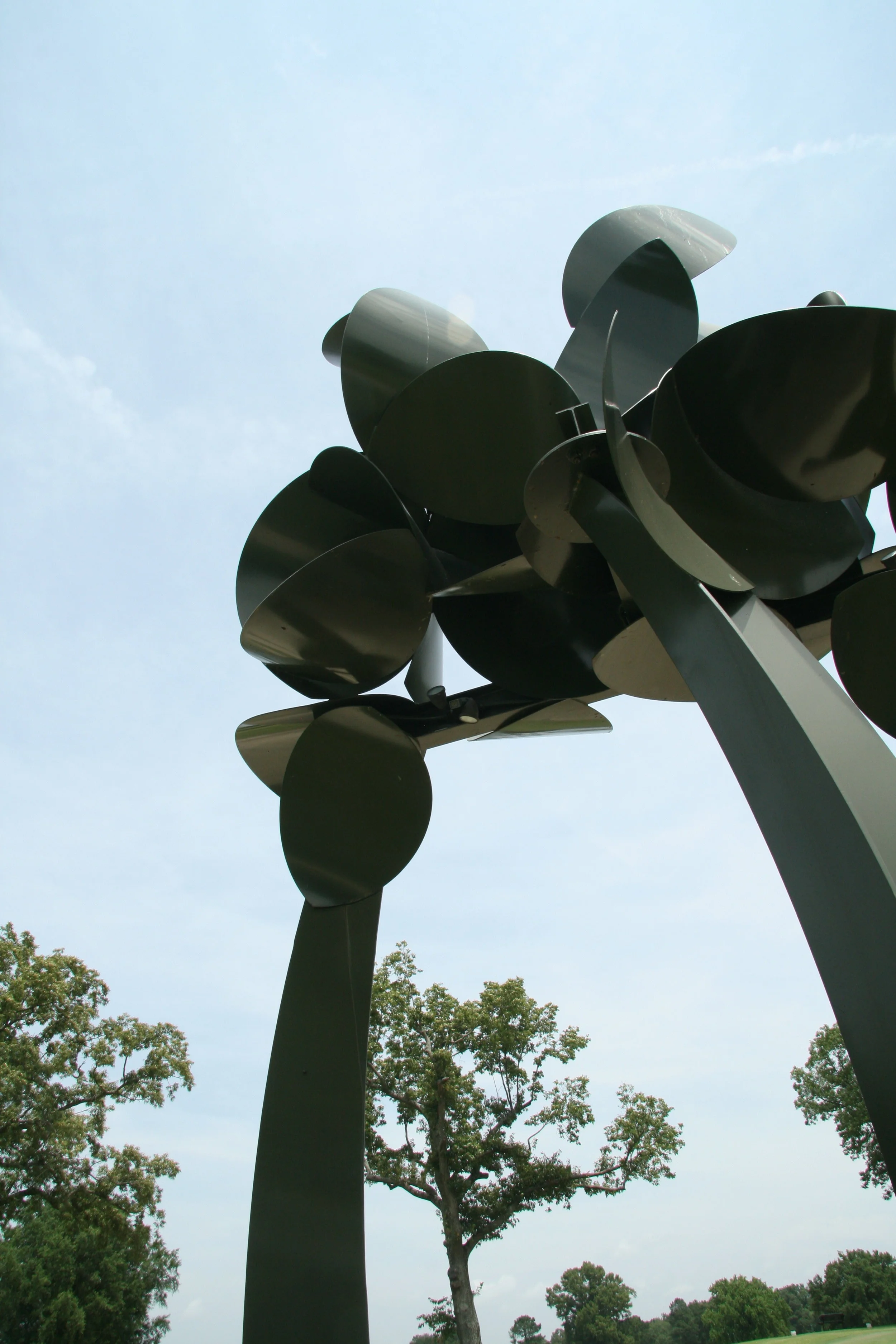 Trees | Links at Whitehaven