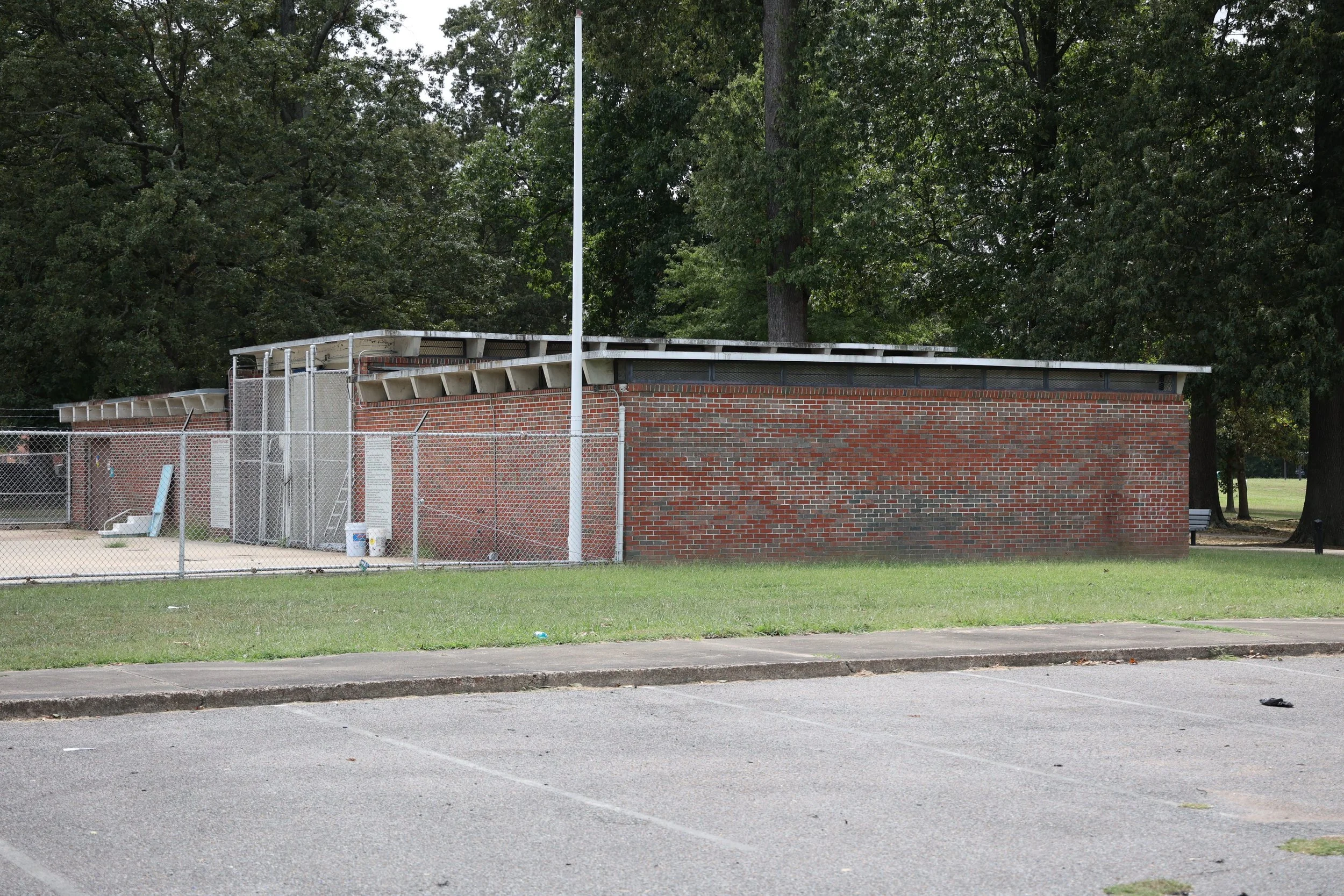 Douglass Park Mural | NAI 2021