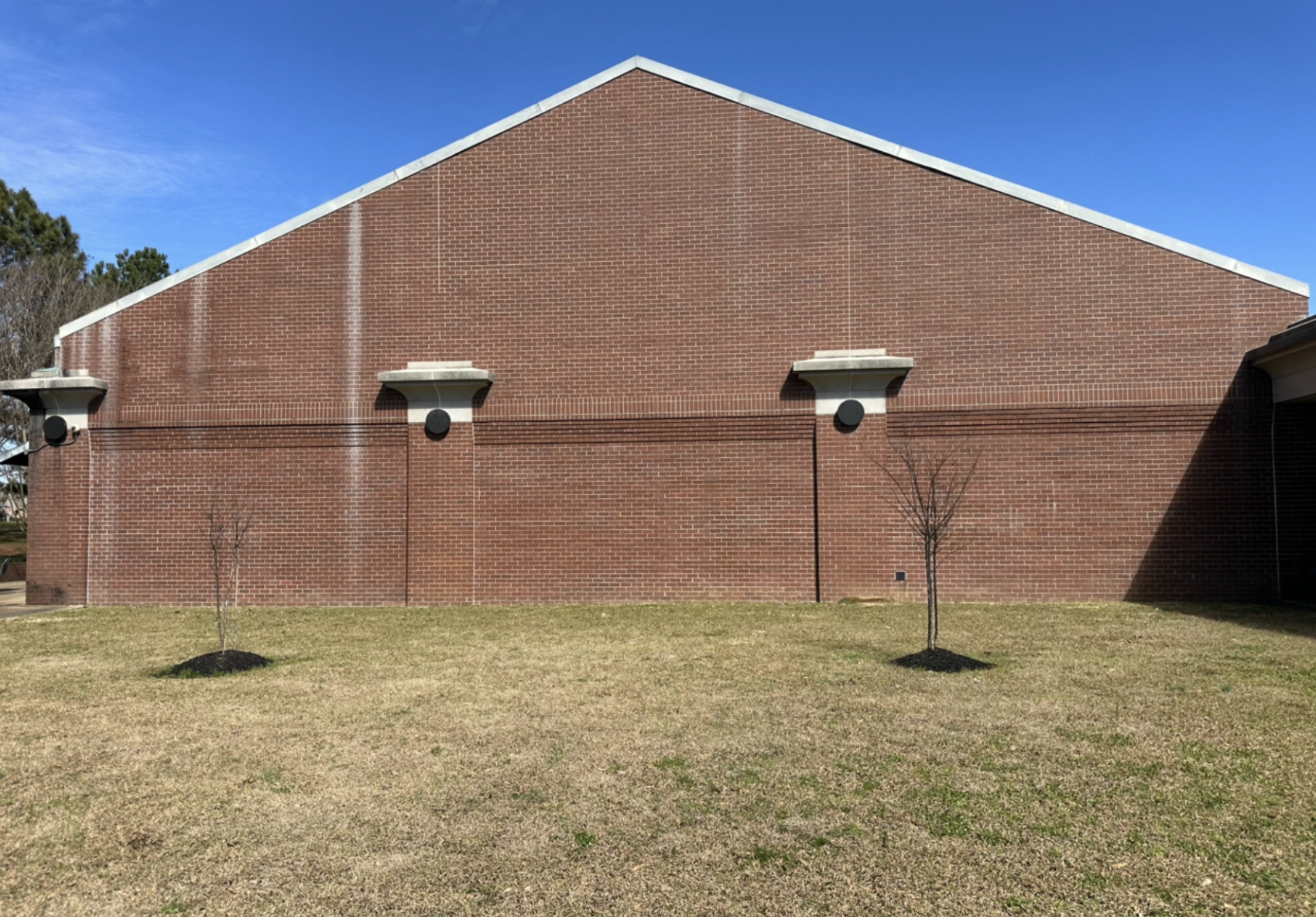 BERT FERGUSON COMMUNITY CENTER MURAL 