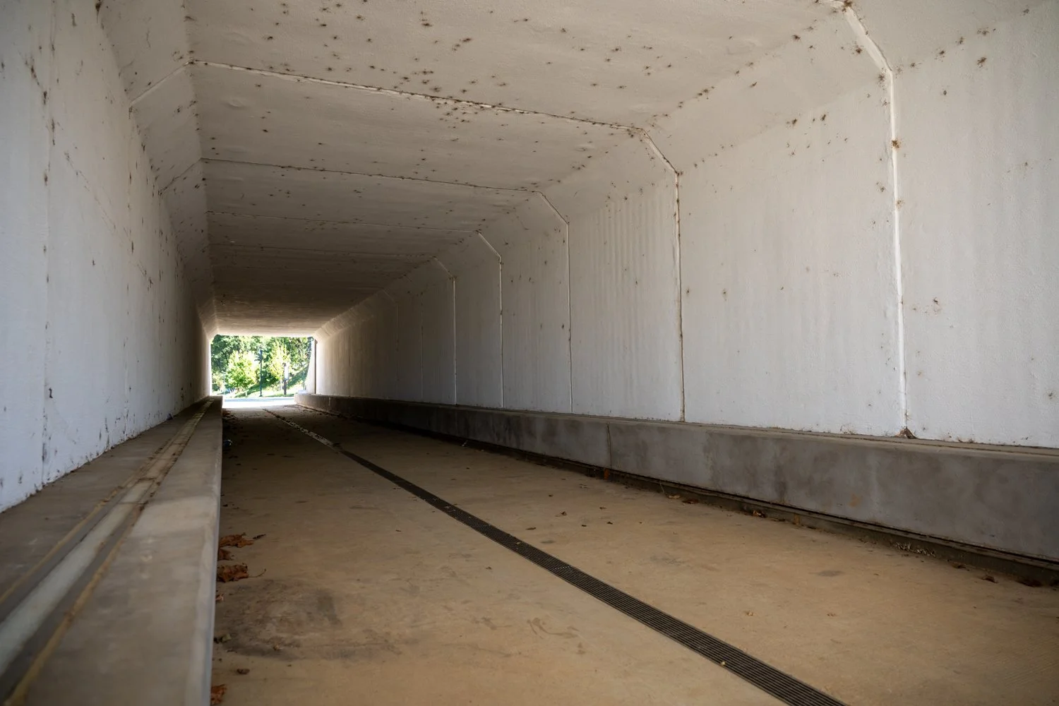 Bearwater Greenline Mural