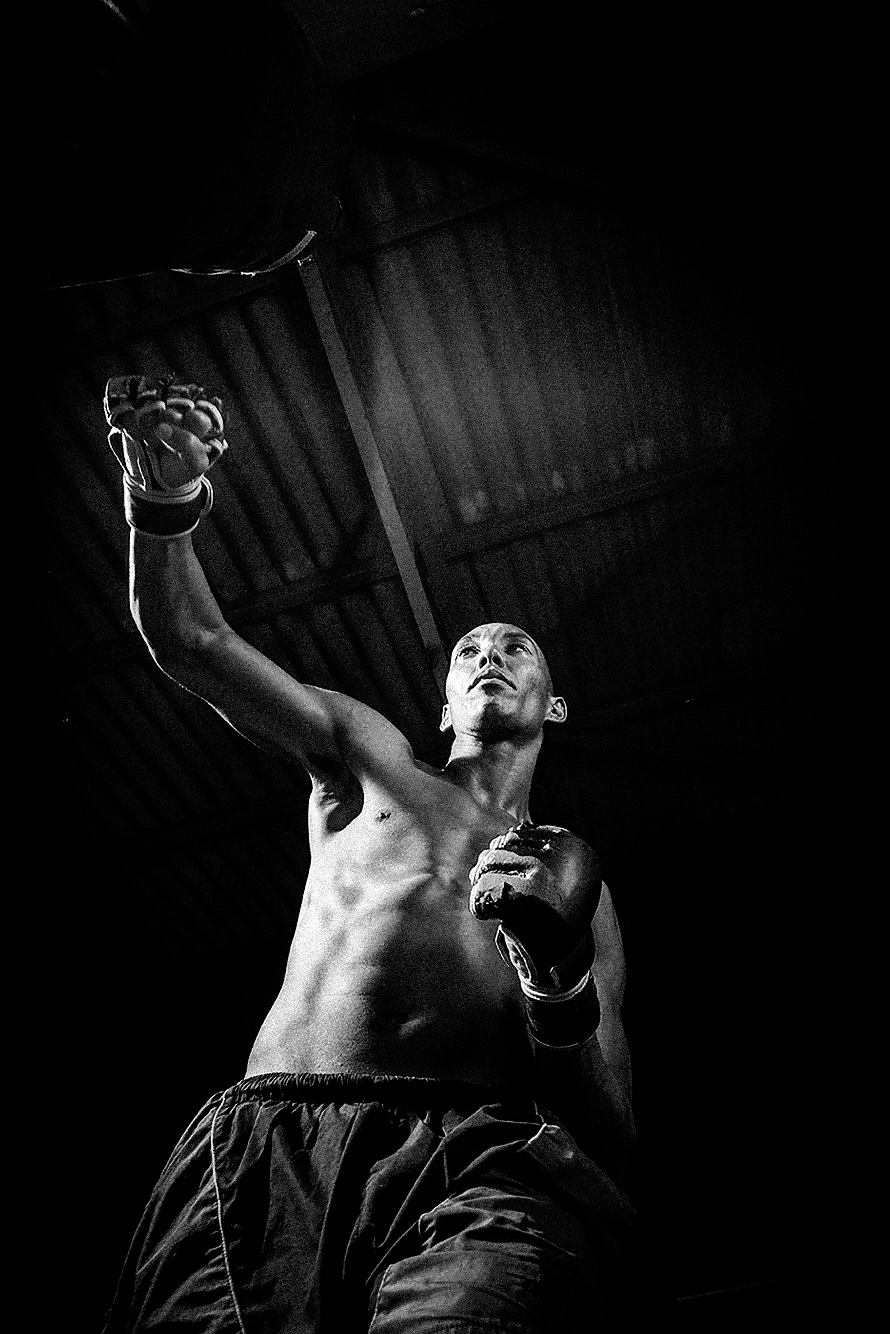 boxing.jpg