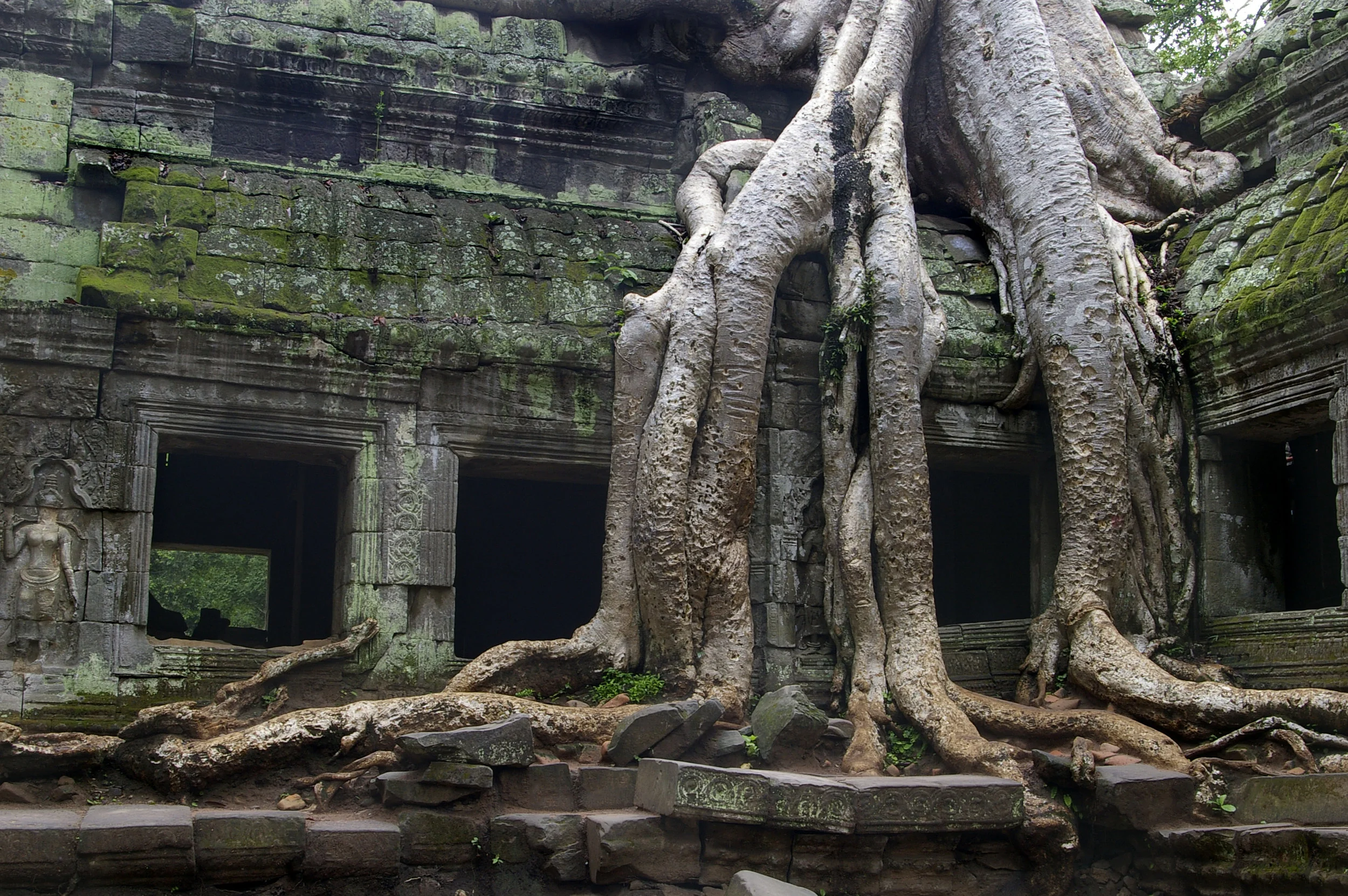 southeast_asia0001.jpg