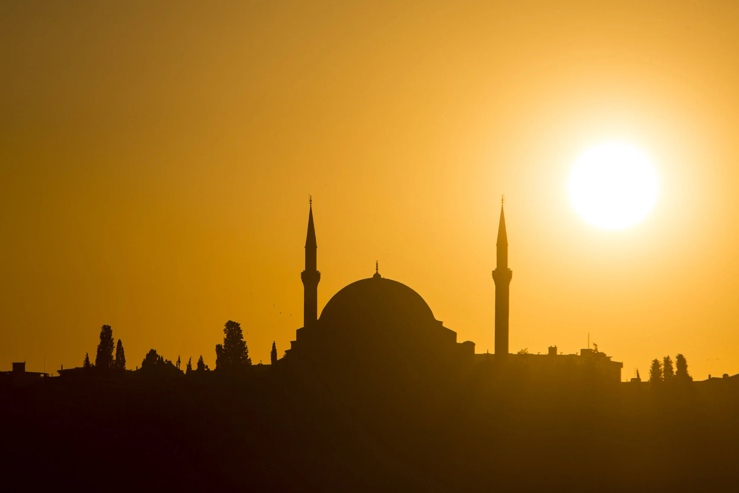 turkey0003.jpg
