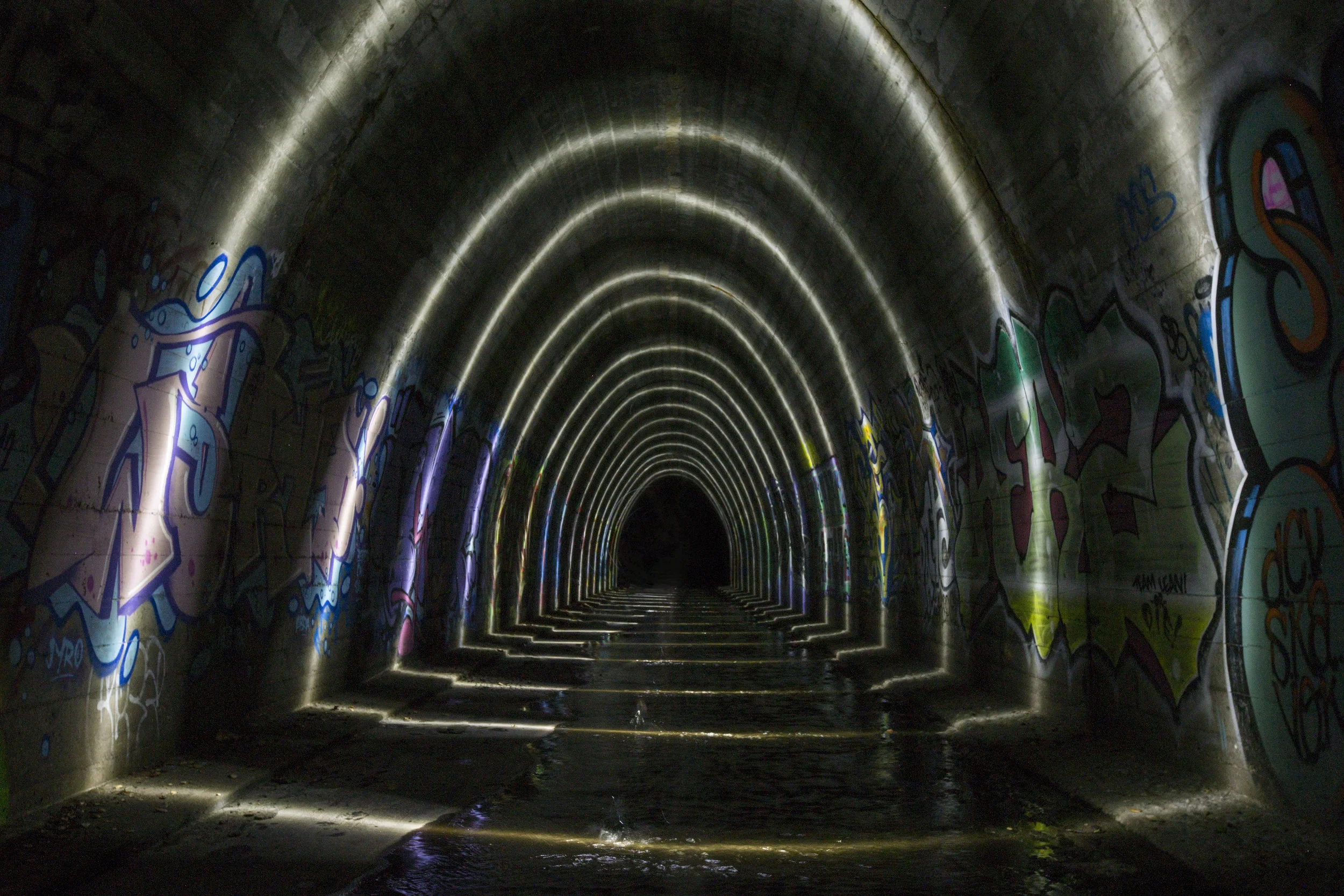 5D3_9864.jpg