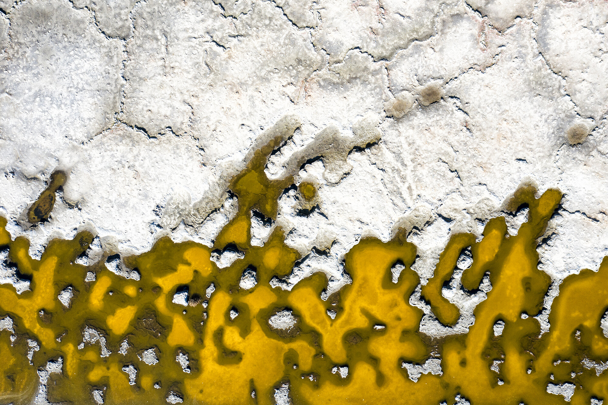 DJI_0260.jpg