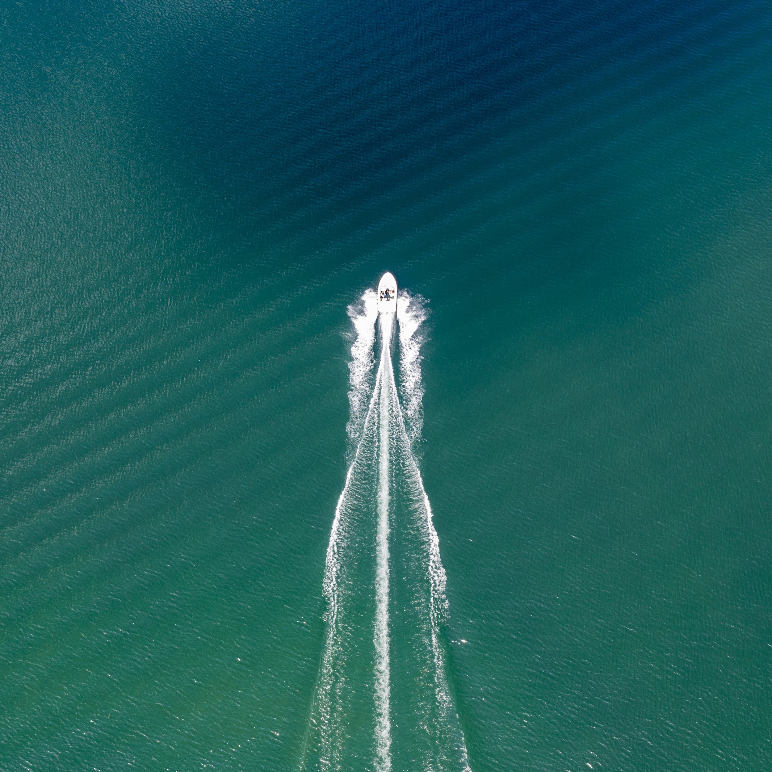 52292213123_5f539f4ce4_o.jpg