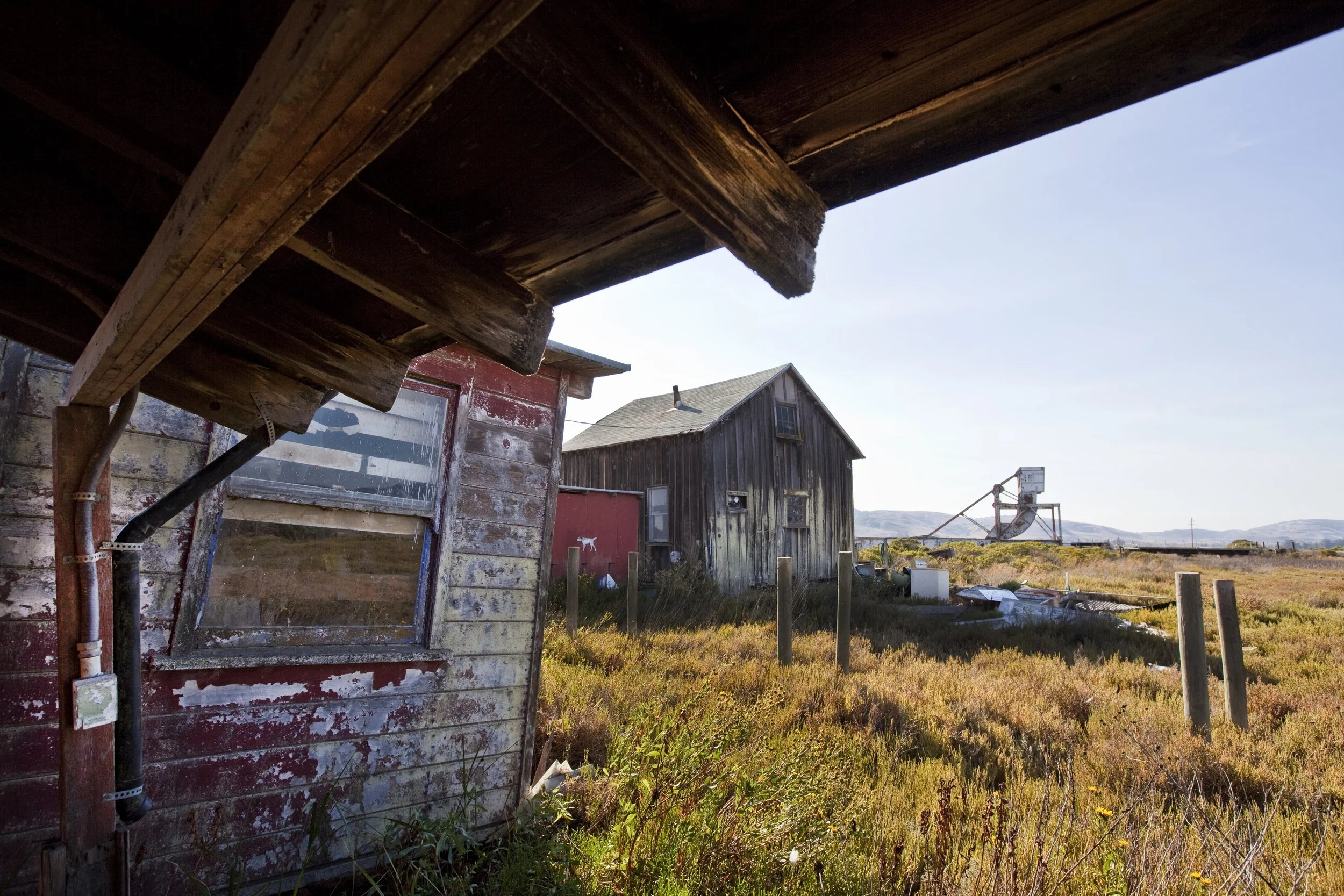 wingo, california