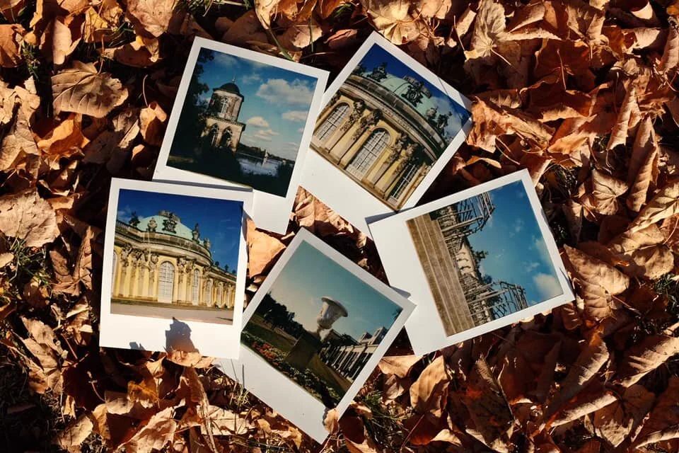 Polaroid Walk at Sanssouci Park