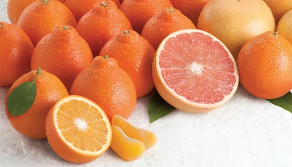 Honeybells_Glamour.250105006_large.jpg