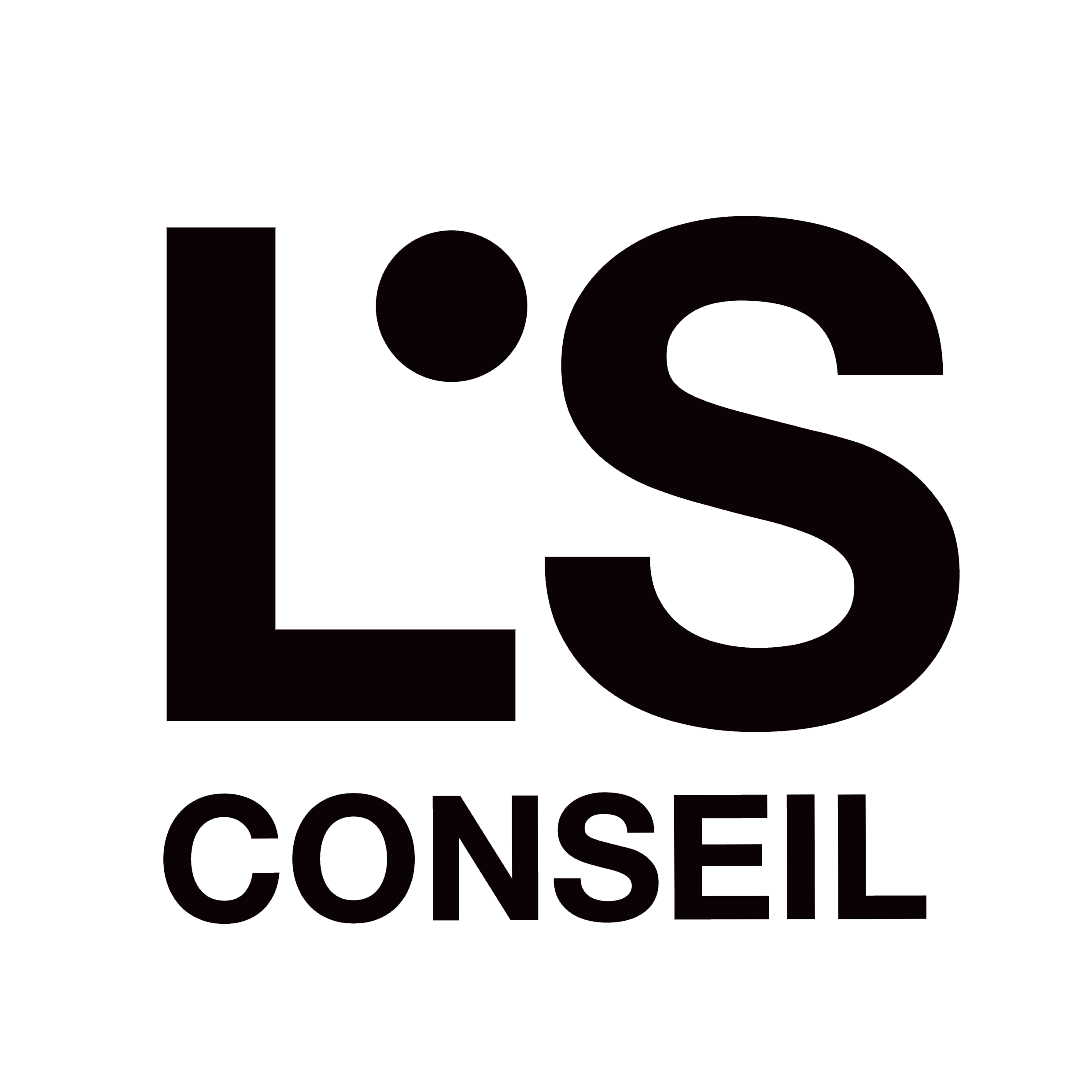 LS_CONSEIL_LOGO_NOIR.png