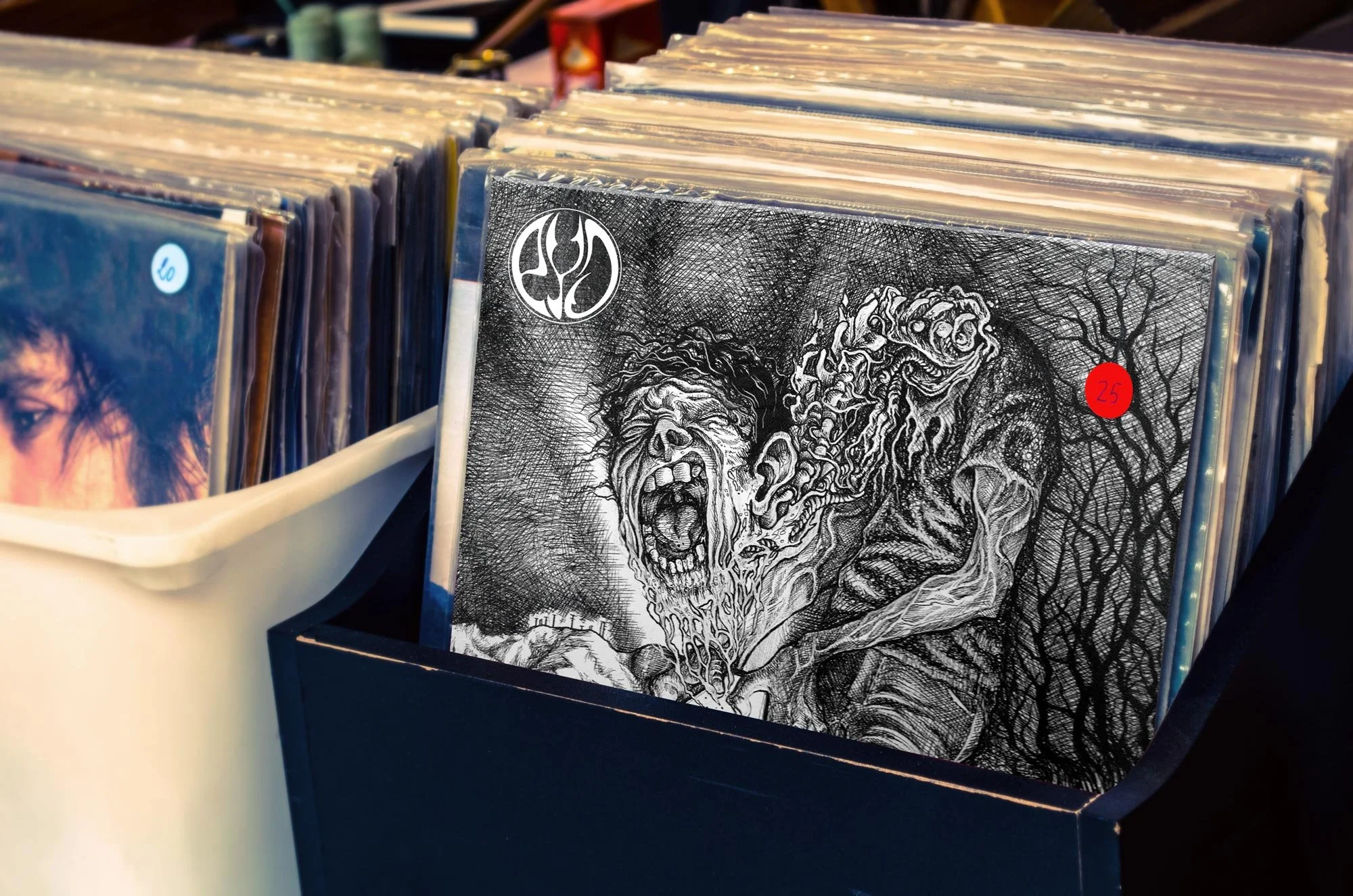 PYO_Vinyl_Store_01.jpg