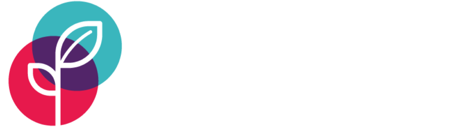 Promise Venture Studio