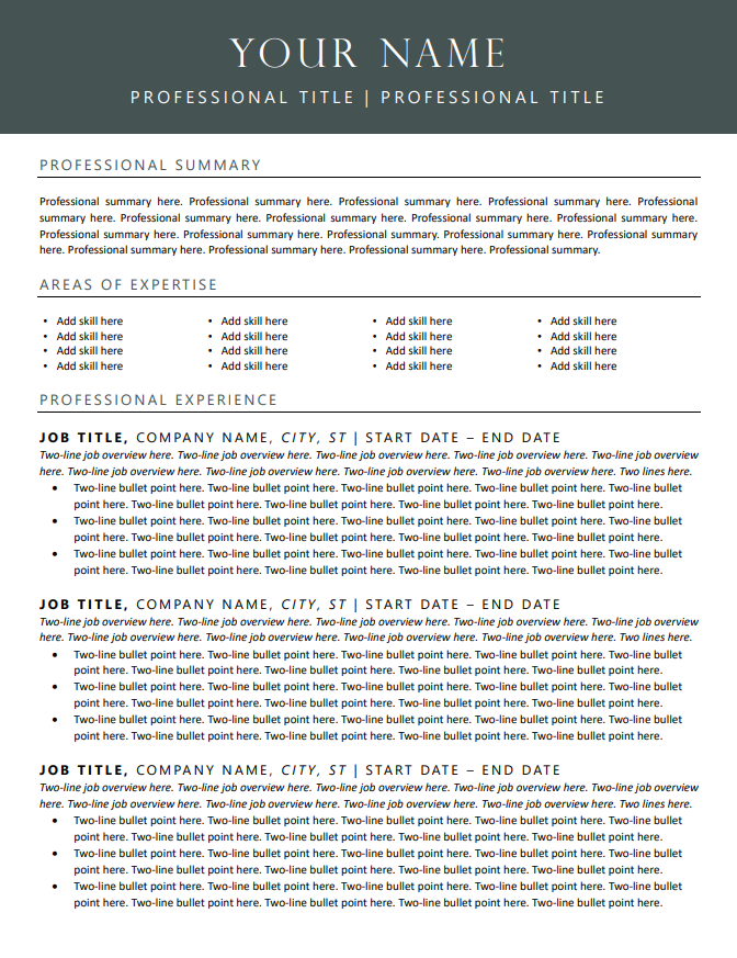 Resume Screen Shot page 1 Template 1.png