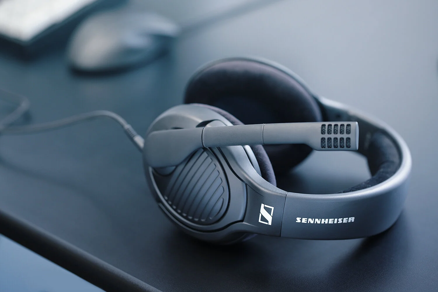 AI7B8306 copy blue.jpg