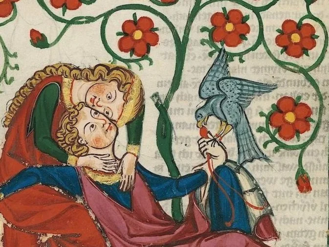 Bird dreams
