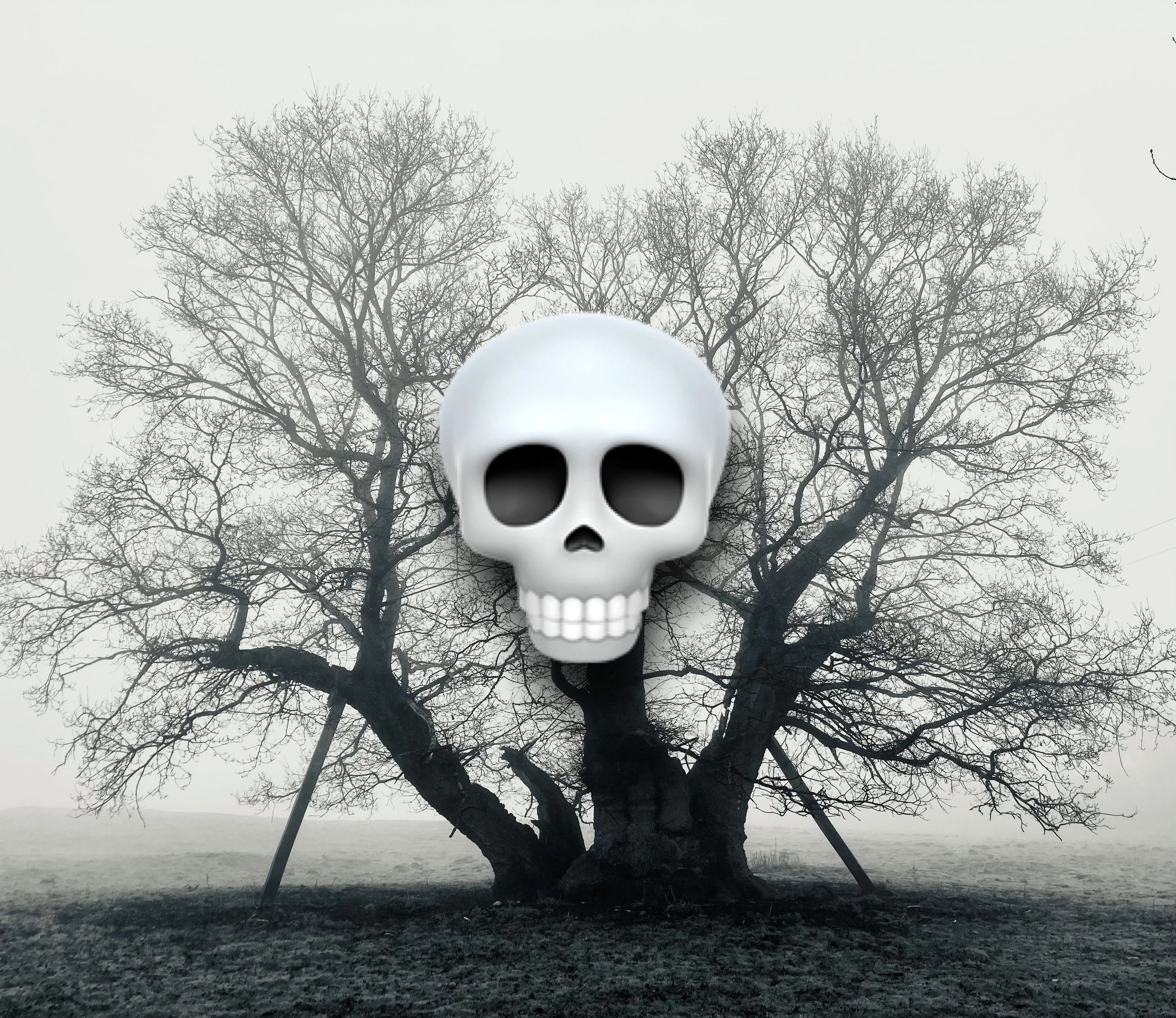 A Defence of Skeletons