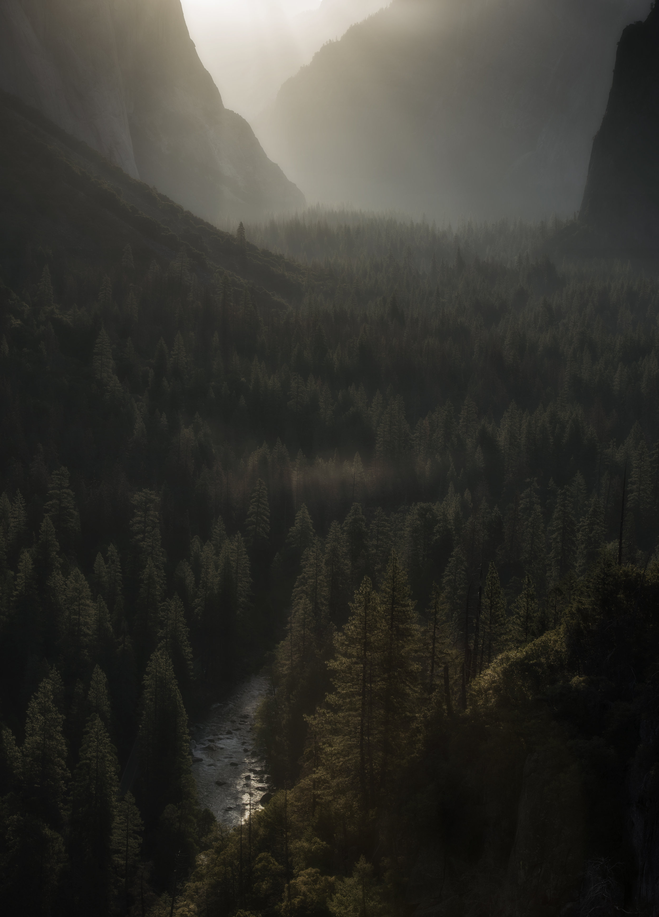 Yosemite XIII