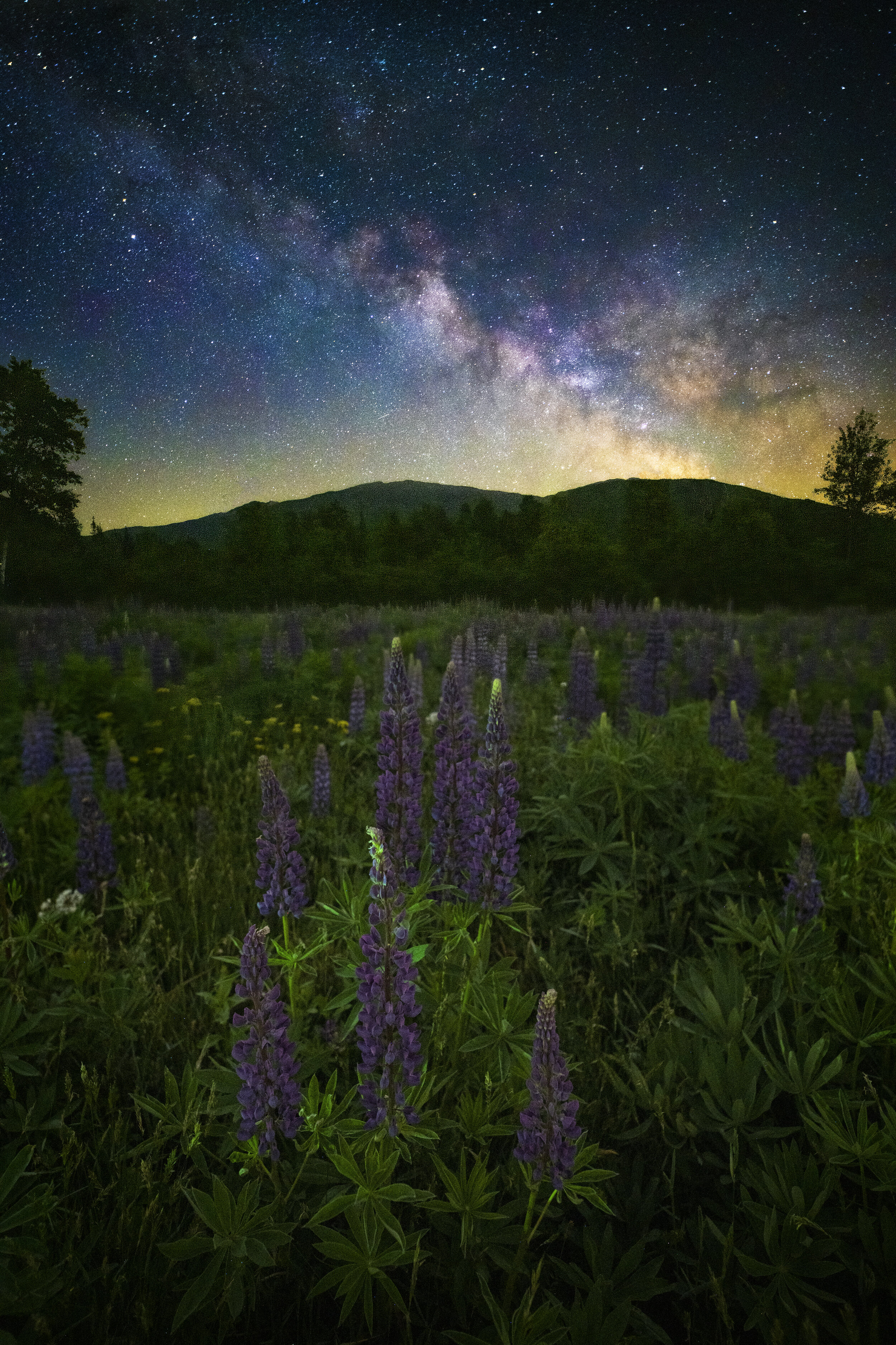 New Hampshire Galaxy I