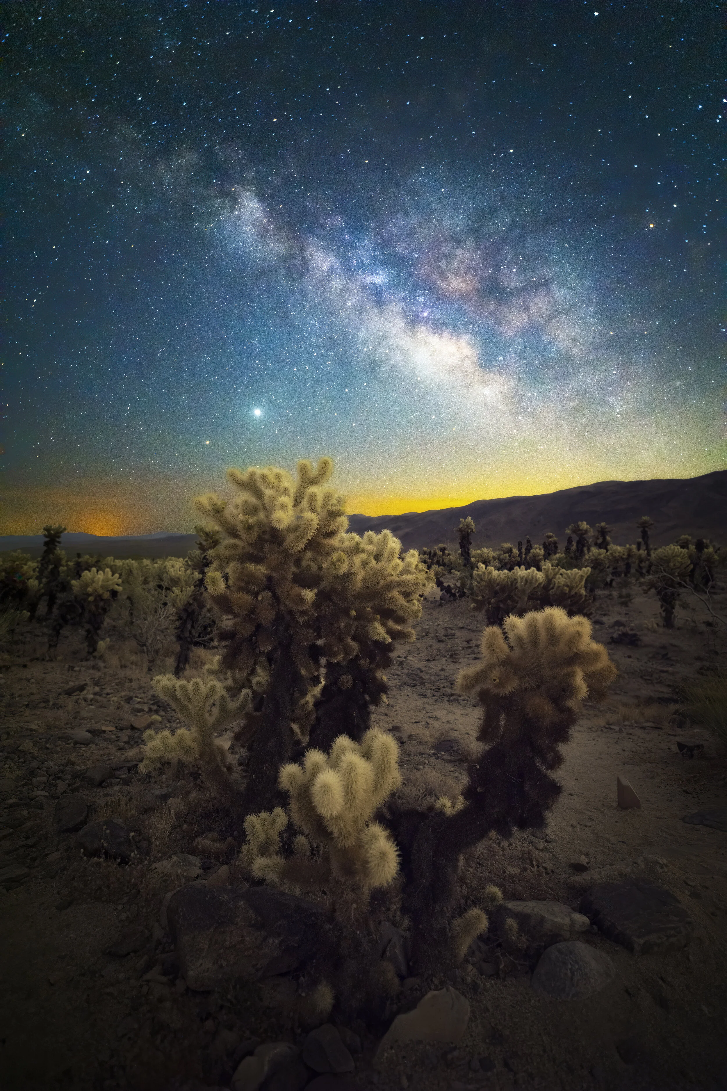 Joshua Tree Galaxy I