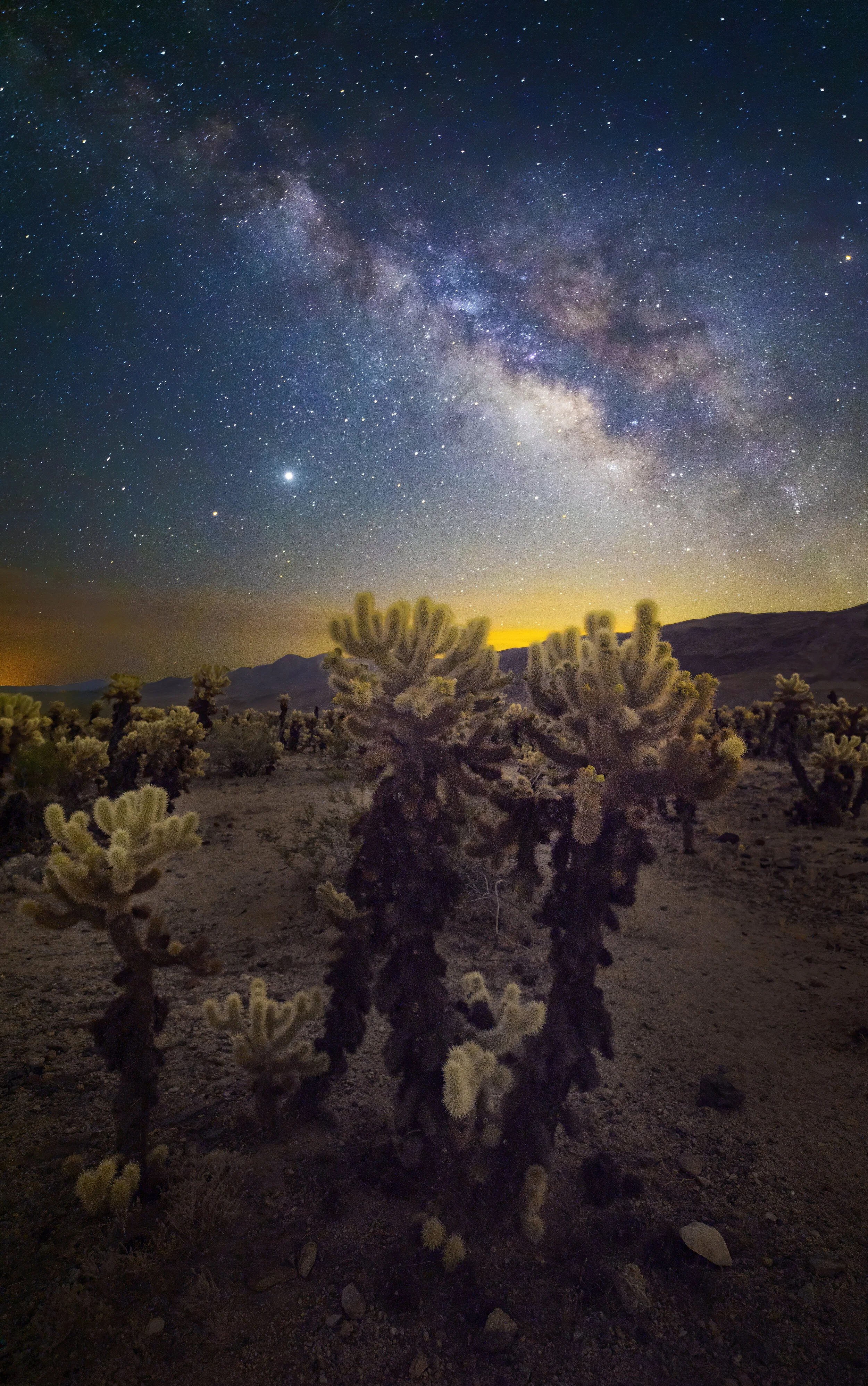 Joshua Tree Galaxy II