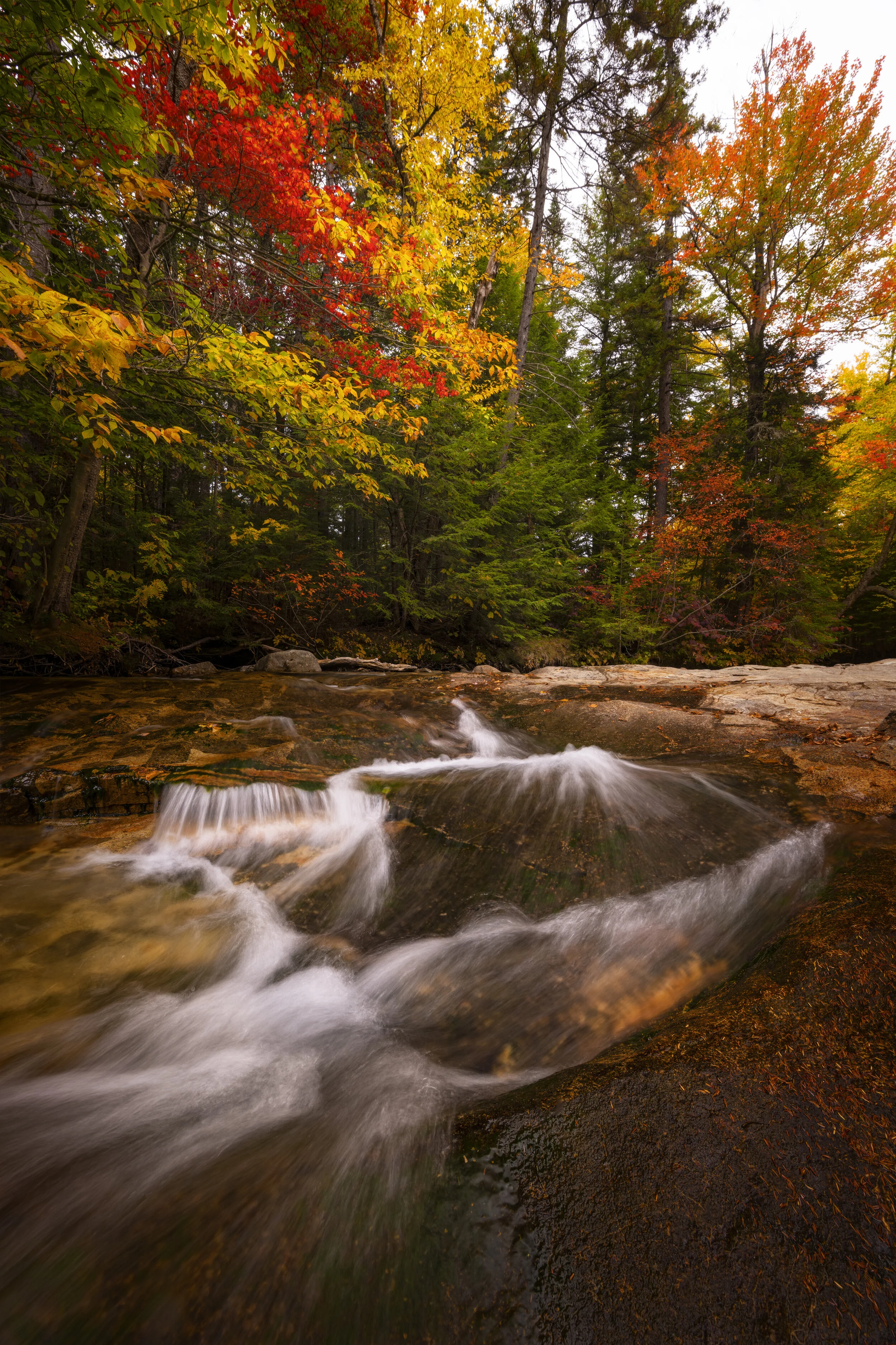 New Hampshire XII