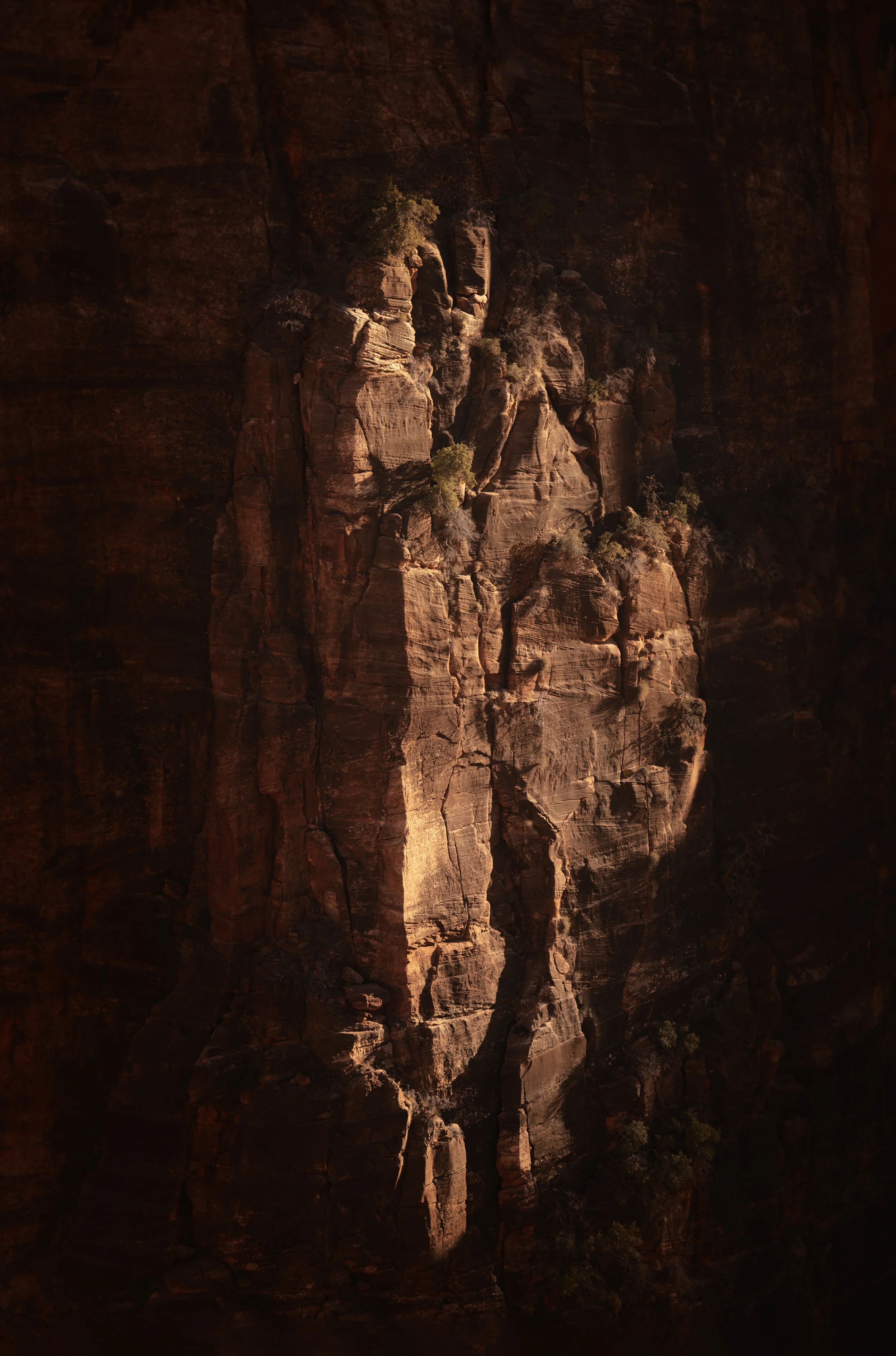 Zion XI