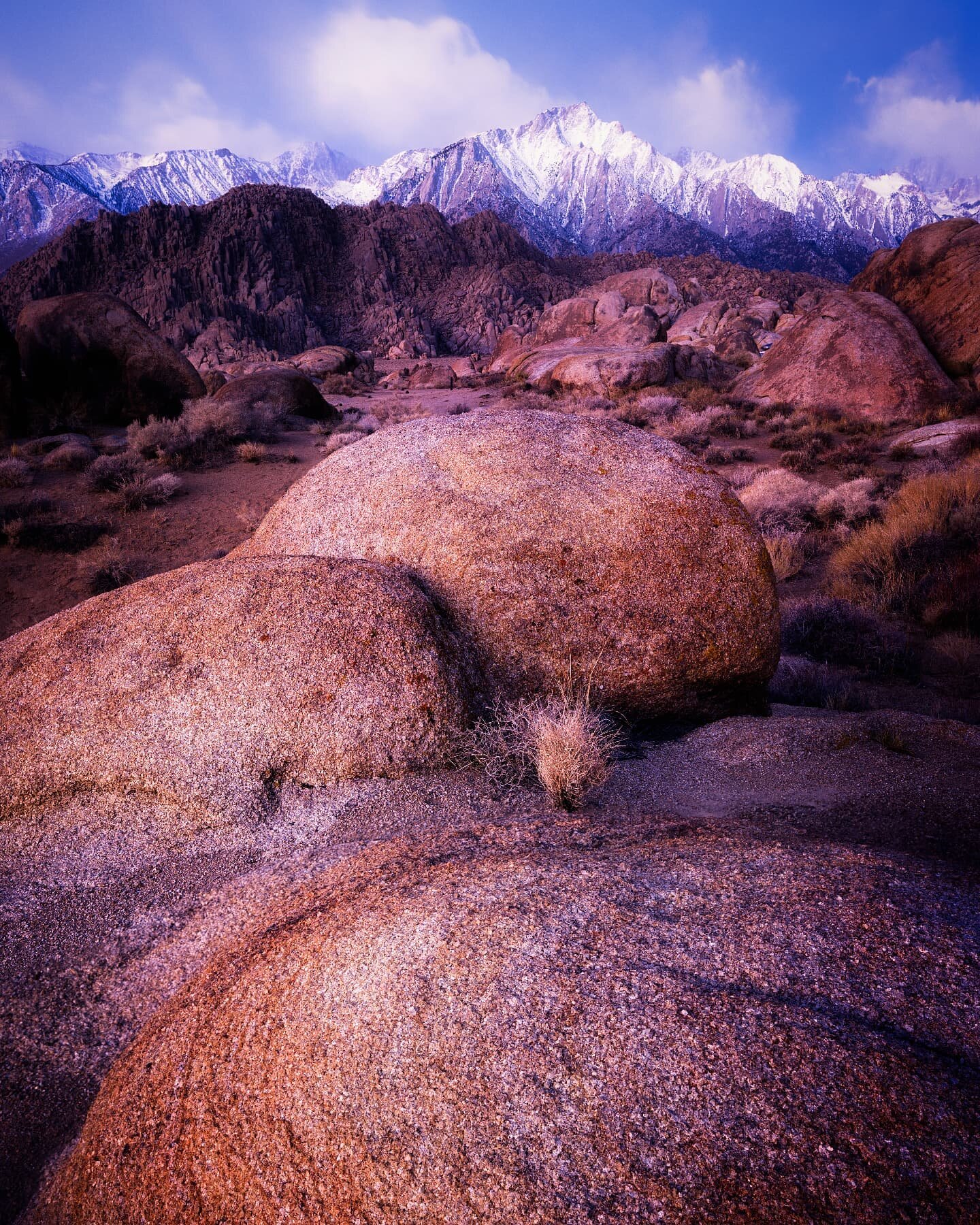 Thinking back to March when @frank.shoots and I were in Alabama Hills...hoping to find an equally amazing trip soon!
⠀⠀⠀⠀⠀⠀⠀⠀⠀
&bull;&bull;&bull;&bull;&bull;&bull;&bull;&bull;&bull;&bull;&bull;&bull;&bull;&bull;&bull;&bull;&bull;&bull;&bull;&bull;
⠀⠀