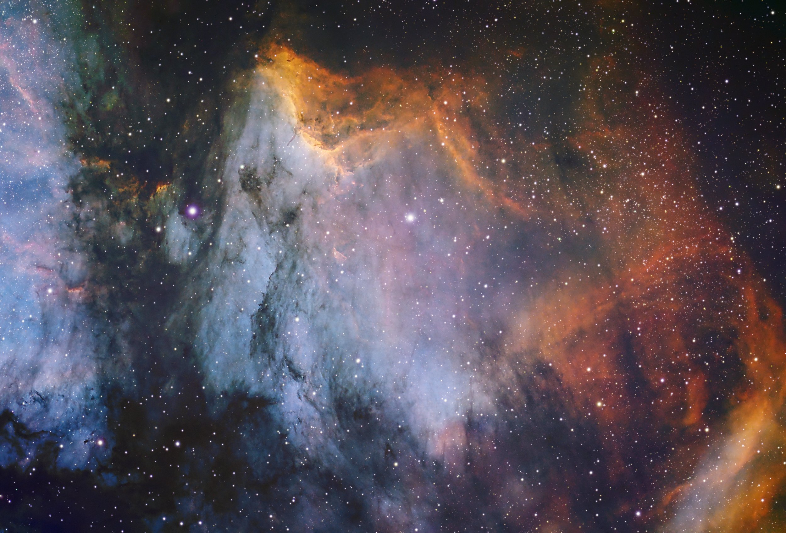 Pelican Nebula I