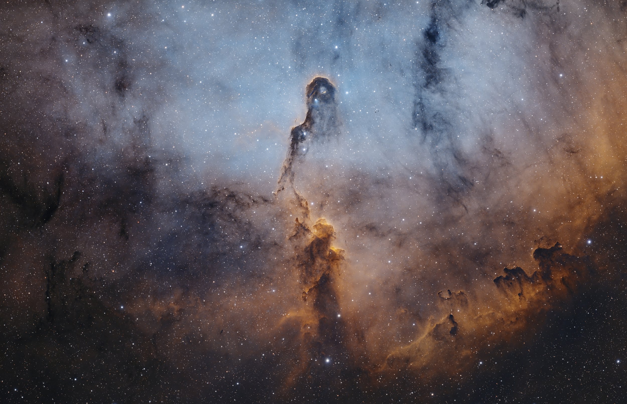 Elephant Trunk Nebula II