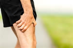 image leg.jpg