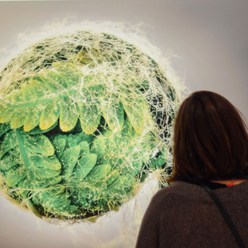 Minnesota - State of Wonders