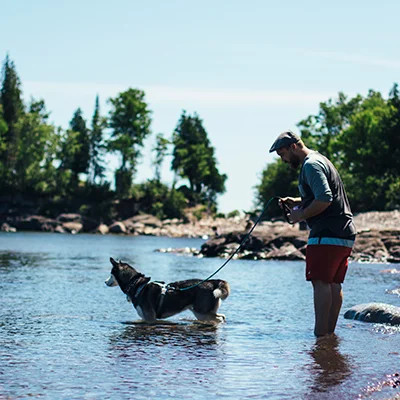 Hidden Cities: Road Trip