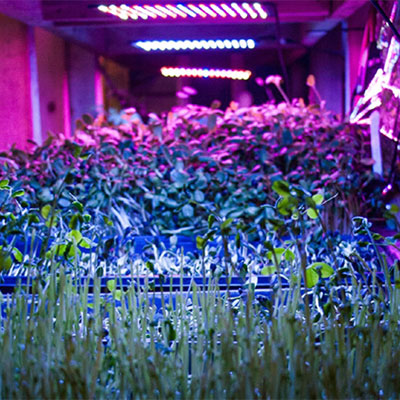 Spark - Y Youth Action Labs