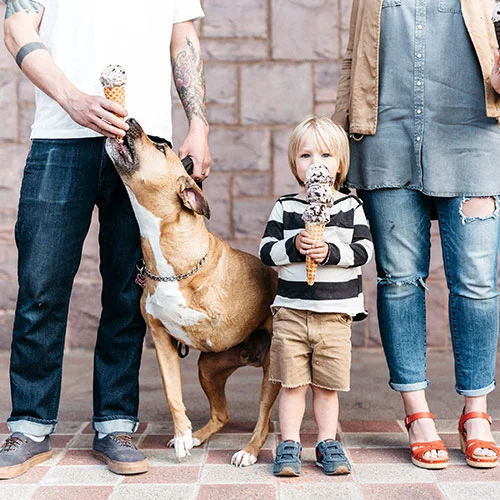 Behind the Lens: BethCath Photography