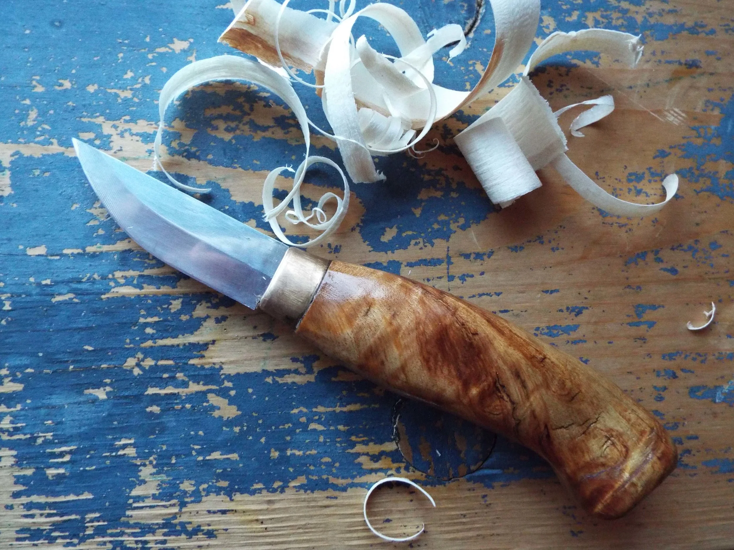 In the Land of the Trees