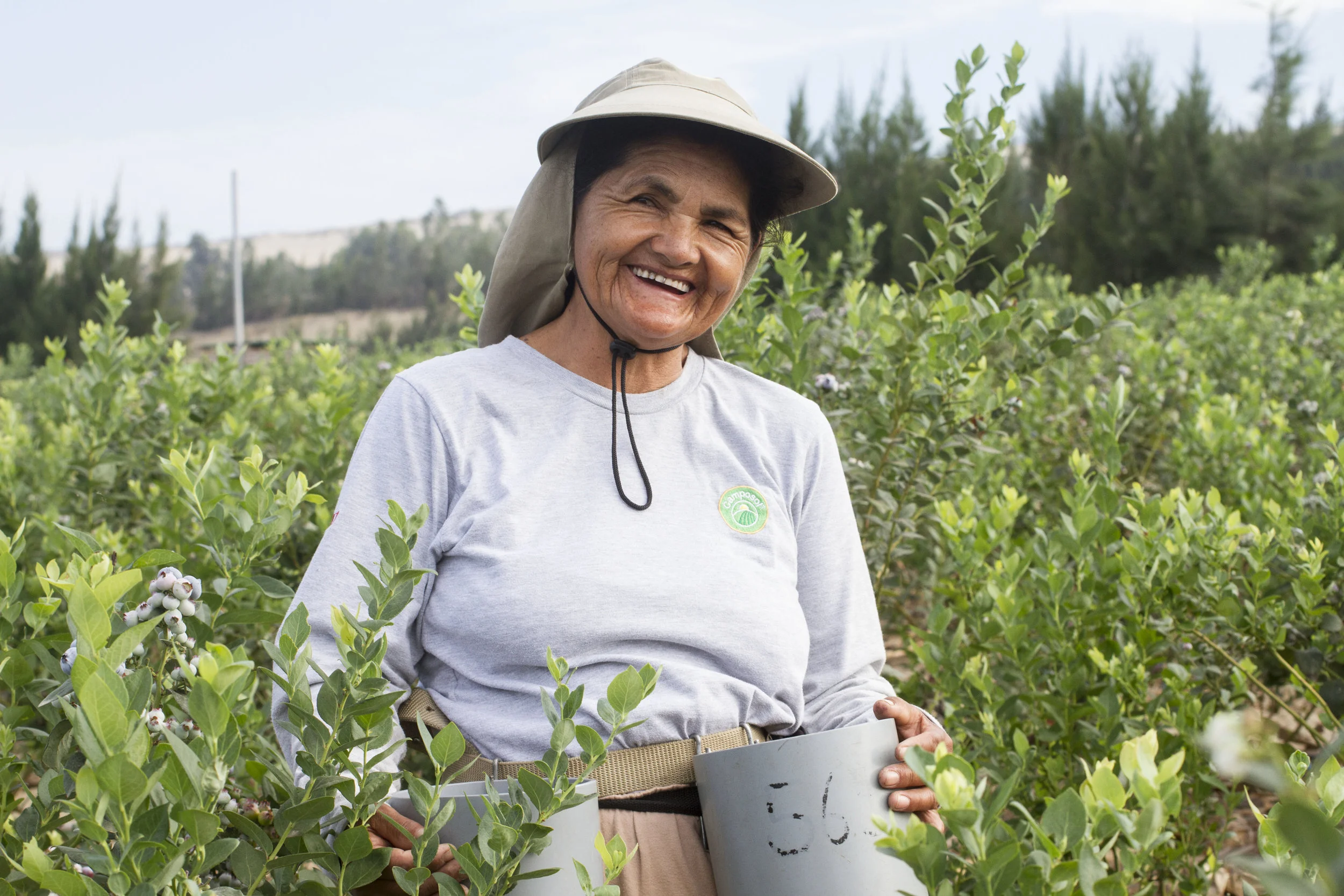  In another example of carefully selecting the brands we work with, this large exportation company won us over with their commitment to social and environmental responsibility. 