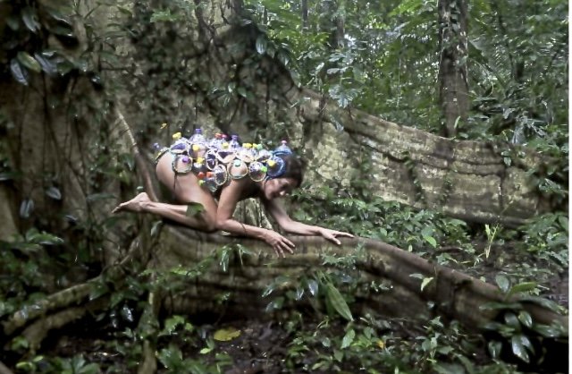 Red Forest: Shihuahuaco, the Wise Elder Tree of the Amazon