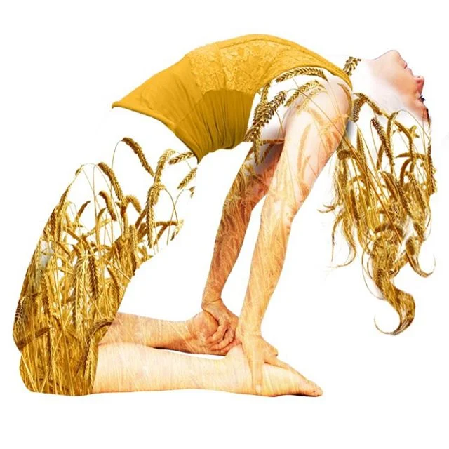 Late Summer is a time of coming to earth, settling, ripening and mulling over what has been learnt. We spend time digesting and enriching the soil of our lives to bring about the embodiment of form in the seasons to come. In the bounty of this season